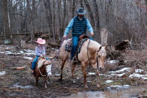 HorseID: 2309696 First Chance Dreamer - PhotoID: 1094210