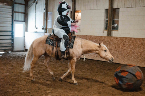 HorseID: 2309696 First Chance Dreamer - PhotoID: 1094211