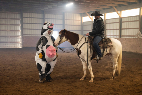 HorseID: 2309697 Watch Video - PhotoID: 1094219