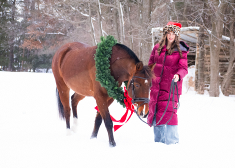 HorseID: 2309702 Mr. Bombastic - PhotoID: 1094224