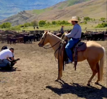 HorseID: 2309707 Boons Highbrowd Lady - PhotoID: 1094232