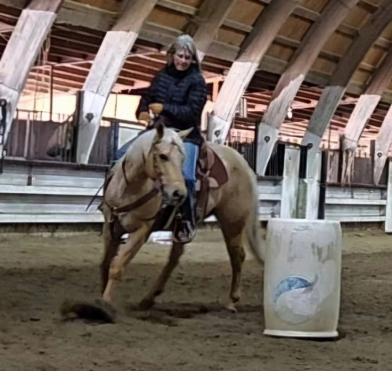 HorseID: 2309707 Boons Highbrowd Lady - PhotoID: 1094236