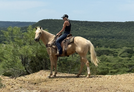 HorseID: 2309724 CMG Limitless - PhotoID: 1094271