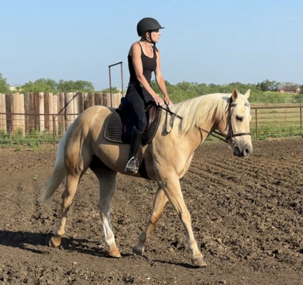 HorseID: 2309724 CMG Limitless - PhotoID: 1094272