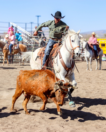 HorseID: 2309726 Speckled Red Roan - PhotoID: 1094273