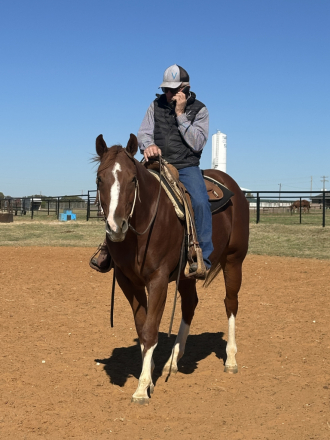 HorseID: 2309733 REQUIRED TO ZIP - PhotoID: 1094280