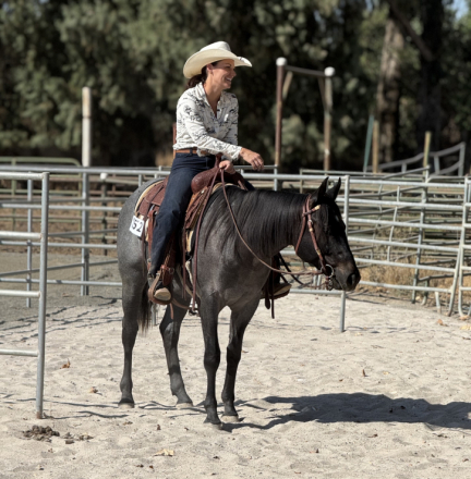 HorseID: 2309746 Blue Brick Valentine - PhotoID: 1094291