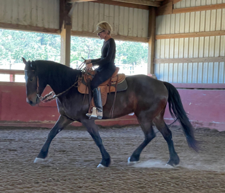 HorseID: 2309750 Holy Smoke - PhotoID: 1094350