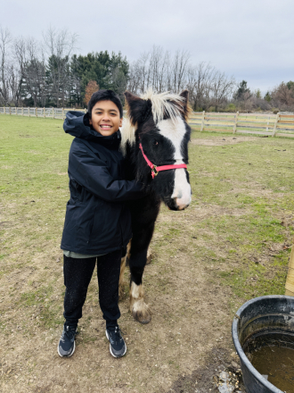 HorseID: 2309753 LUCKY GUYS SHIMMERING DIAMOND - PhotoID: 1094303