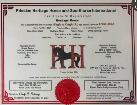 HorseID: 2309758 Magic's Knight AL - PhotoID: 1094306