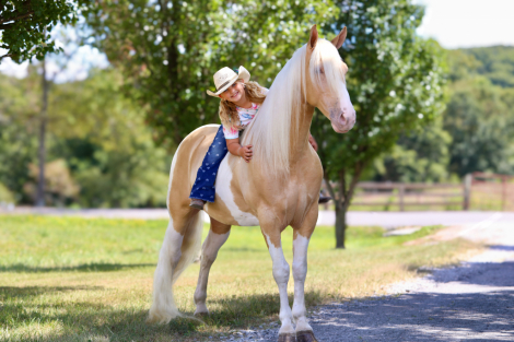 HorseID: 2309760 Joker Jacked Up - PhotoID: 1094307