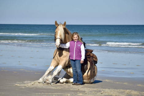 HorseID: 2309760 Joker Jacked Up - PhotoID: 1094308