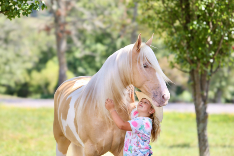 HorseID: 2309760 Joker Jacked Up - PhotoID: 1094310