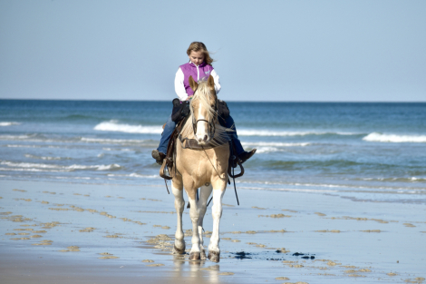 HorseID: 2309760 Joker Jacked Up - PhotoID: 1094311