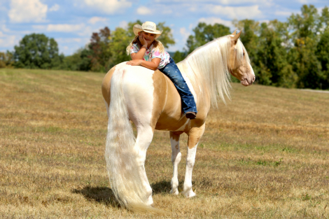 HorseID: 2309760 Joker Jacked Up - PhotoID: 1094312