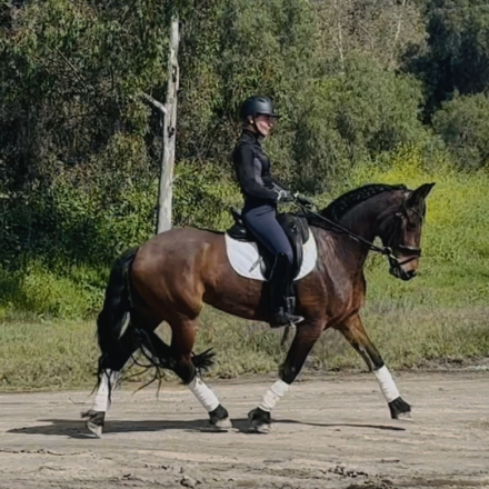 HorseID: 2309774 Cocadora - PhotoID: 1094315