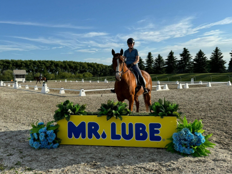 HorseID: 2309782 Mobi - PhotoID: 1094334