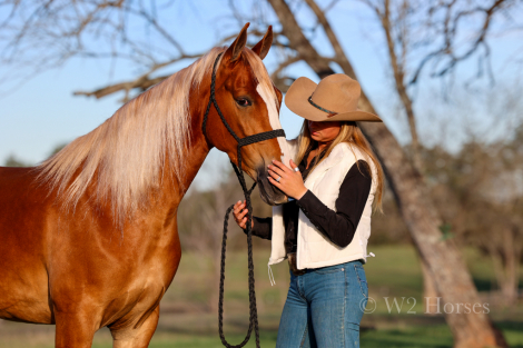 HorseID: 2309822 Charleigh - PhotoID: 1094365