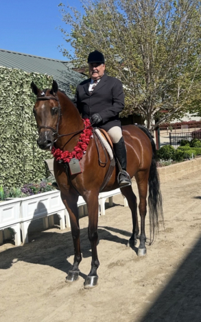 HorseID: 2309828 DANA DAMIEN - PhotoID: 1094372