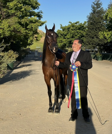 HorseID: 2309833 DANA DAKOTA - PhotoID: 1094376