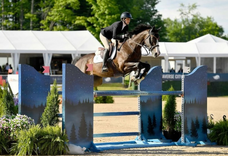 HorseID: 2309846 Roc of Cashel - PhotoID: 1094386