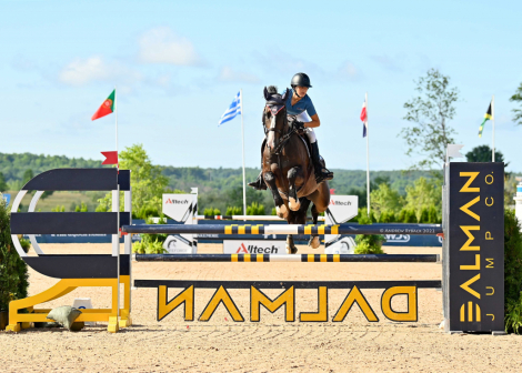 HorseID: 2309846 Roc of Cashel - PhotoID: 1094390