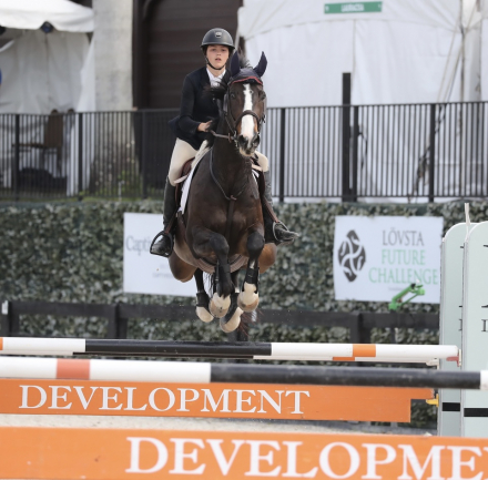 HorseID: 2309846 Roc of Cashel - PhotoID: 1094391