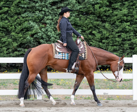 HorseID: 2309850 Jamaican Me Lazy - PhotoID: 1094393