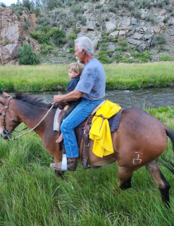 HorseID: 2309858 Buck - PhotoID: 1094448