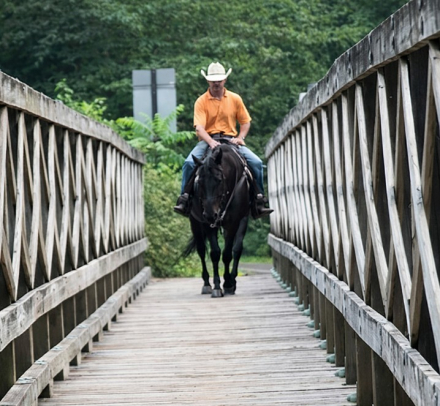 HorseID: 2309867 SONNYS COOL BLUE SKY - PhotoID: 1094419