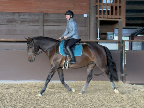 HorseID: 2309869 Irene - PhotoID: 1094425