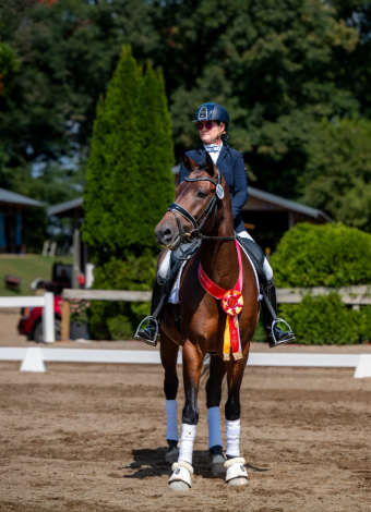 HorseID: 2309872 Perfect Style - PhotoID: 1094429