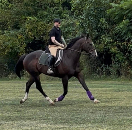 HorseID: 2309880 Kierkegaard - PhotoID: 1094447