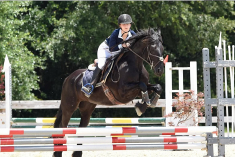 HorseID: 2309898 Lone Oak 19 Edna - PhotoID: 1094453