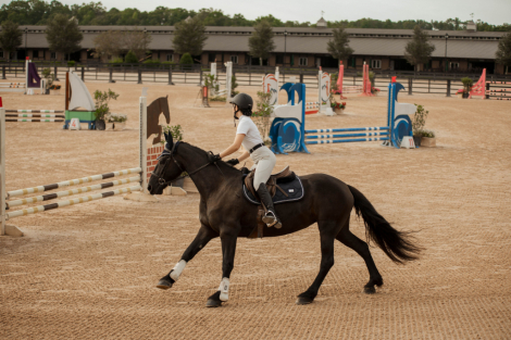 HorseID: 2309898 Lone Oak 19 Edna - PhotoID: 1094455