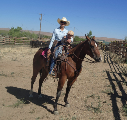 HorseID: 2309908 Velvet - PhotoID: 1094477