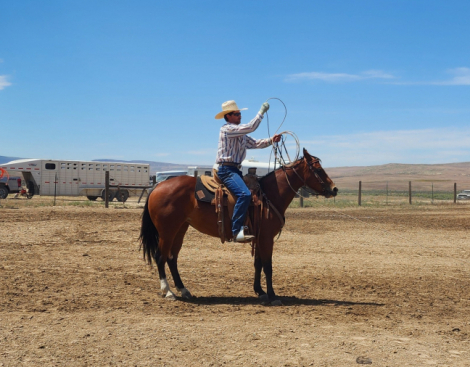 HorseID: 2309908 Velvet - PhotoID: 1094476