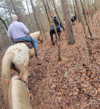 HorseID: 2309926 COURT THIS WEEDO - PhotoID: 1094490