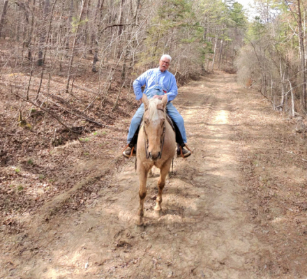 HorseID: 2309926 COURT THIS WEEDO - PhotoID: 1094492