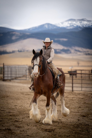 HorseID: 2309931 Chief of Wildfire - PhotoID: 1094498