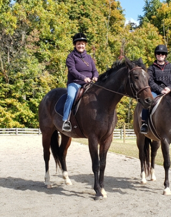 HorseID: 2309934 Hez Rockin The Chute - PhotoID: 1094502