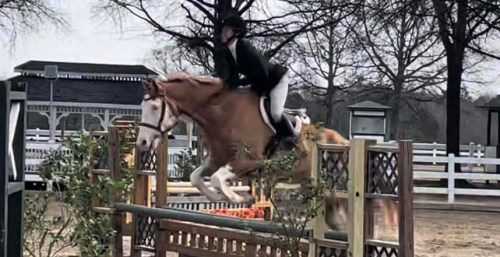 HorseID: 2309947 After Midnight - PhotoID: 1094517