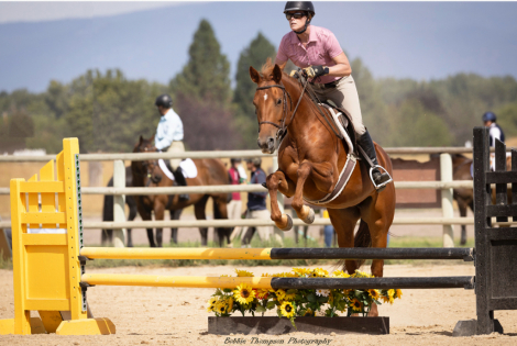 HorseID: 2309951 Roxy Music - PhotoID: 1094526