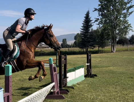 HorseID: 2309951 Roxy Music - PhotoID: 1094527