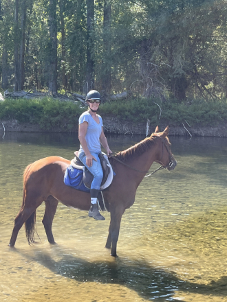 HorseID: 2309951 Roxy Music - PhotoID: 1094529