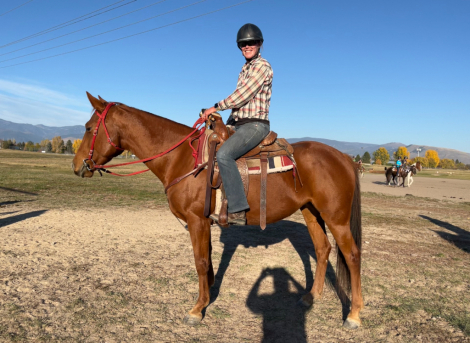 HorseID: 2309951 Roxy Music - PhotoID: 1094530