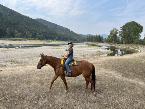 HorseID: 2309951 Roxy Music - PhotoID: 1094531