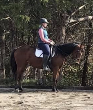 HorseID: 2309974 Stella's Sweet Candor - PhotoID: 1094548