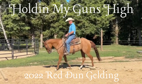 HorseID: 2309978 Holdin My Guns High - PhotoID: 1094552