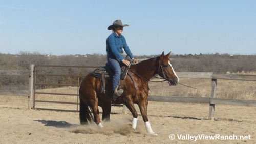 HorseID: 2309981 Smart N Ruby - PhotoID: 1094560